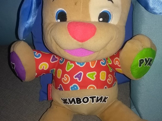 Rääkiv koer