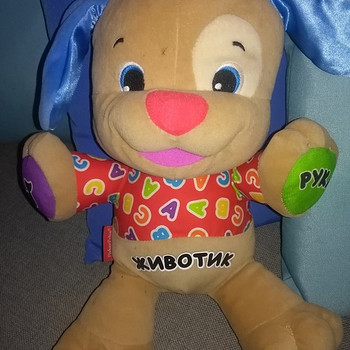 Rääkiv koer