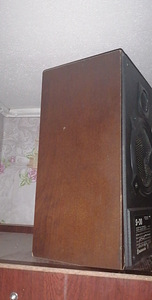 Müüa vene aegsed s30 kõlarid 2 tükki (2 foto / 5)