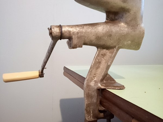 Käsitsi mahlapress
