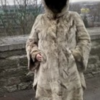 Pügatud naarits