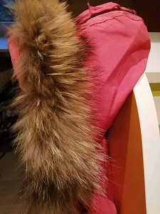 Canada goose (1 фото из 6)