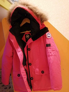 Canada goose (2 фото из 6)