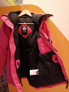 Canada goose (3 фото из 6)