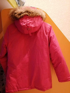 Canada goose (4 фото из 6)