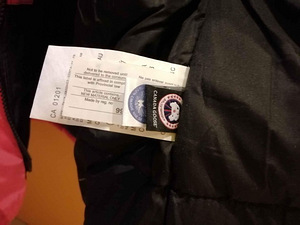 Canada goose (6 фото из 6)
