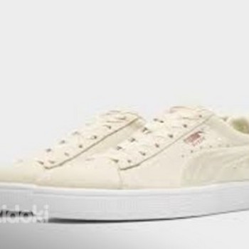 Puma suide tossud