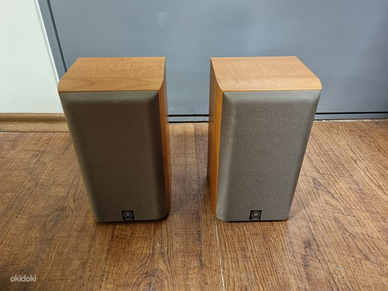Yamaha NS-E55