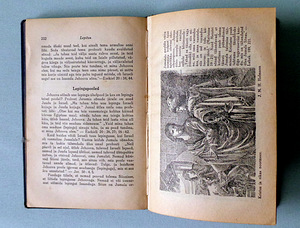 "LEPITUS" 1928 a. (3 foto / 3)