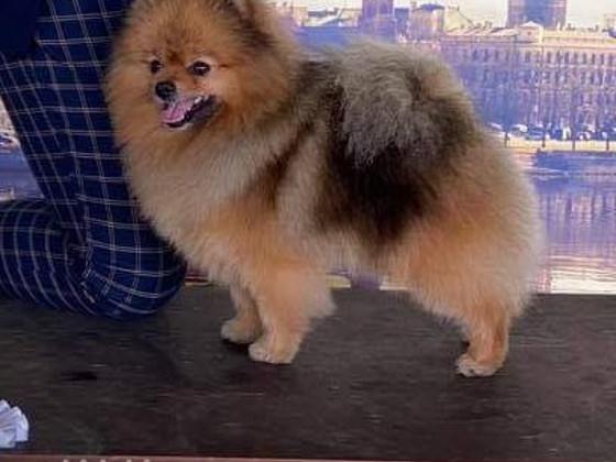 Вязка