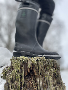 UUED! Nokian Kaira kummikud (4 foto / 4)