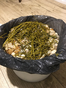 Солёные грибы (2 фото из 5)