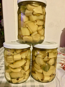 Солёные грибы (4 фото из 5)