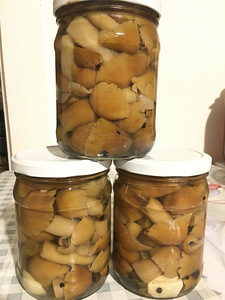 Солёные грибы (5 фото из 5)