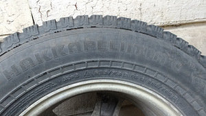 Naastrehvid valuvelgedel (3 foto / 3)