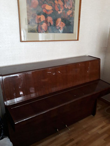 Uus pianiino Petrof (2 foto / 5)