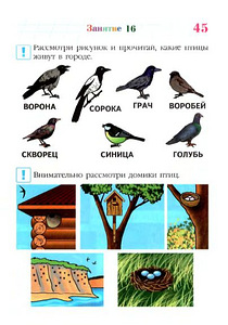 Изучаю мир вокруг 5-6 лет (4 фото из 5)
