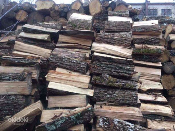 Продаю дрова з дуба, граба, берези з доставкою Ківерці
