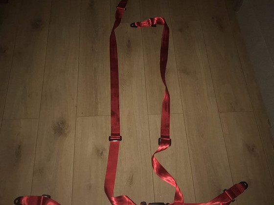 4 punkti turvavööd / 4 point harness