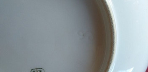 Sevres Louis Philippe - Softpaste porcelain (5 foto / 5)