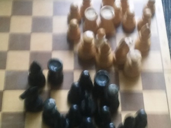 Шахматы.
