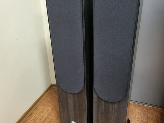 DLS R66BMF HiFi напольные плуги