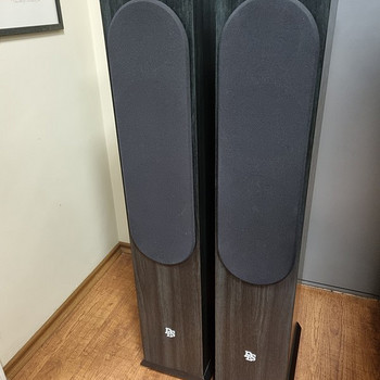 DLS R66BMF HiFi напольные плуги