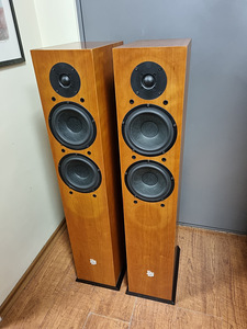 DLS R66BMF HiFi põranda külarid (7 foto / 8)