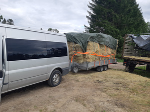 Pakun transporti teenust treileriga (puksiir) +8 iste kohta (7 foto / 10)