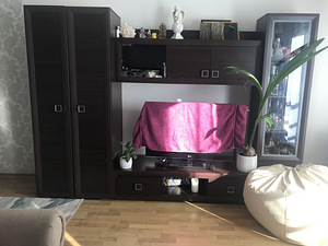 Секция (2 фото из 2)