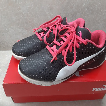 Puma tossud s.30