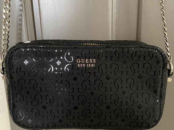 Guess kott