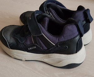 Tossud Geox s 29 pojale (1 foto / 2)