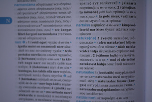 EESTI-VENE EESTI-VENE SÕNARAAMAT + CD (4 foto / 5)