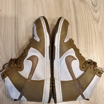 Nike Dunk Kelp Brown