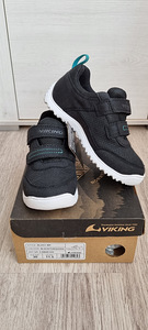 Viking (2 фото из 3)