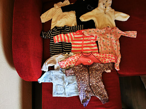Beebiriided (5 foto / 6)
