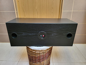 175WT Infinity Center Channel Speaker J1597 (3 фото из 4)