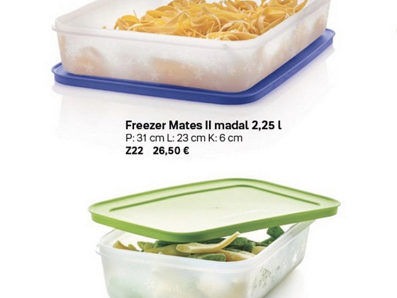 Tupperware freeze mates konteinerid