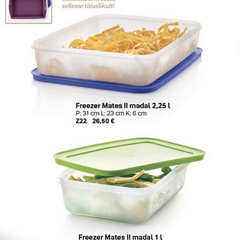 Tupperware freeze mates konteinerid