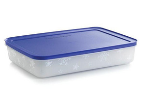 Контейнеры для заморозки tupperware (3 фото из 7)