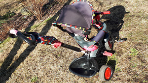Детский велосипед, толкатель Smart Trike 4in1 (7 фото из 8)