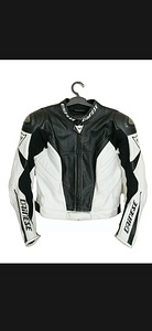 Dainese Leather Jacket Titanium (1 foto / 6)