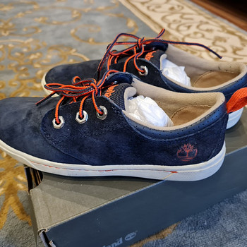 Timberland s36