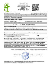 Ротвейлер вязка (6 фото из 6)