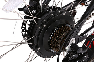 Fat-bike elektrijalgratas (6 foto / 10)