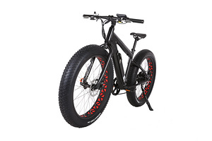 Fat-bike elektrijalgratas (2 foto / 10)