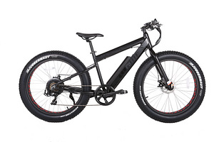 Fat-bike elektrijalgratas (1 foto / 10)