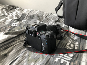 Canon EOS 200D + Canon EF-S 18-55мм (4 фото из 5)
