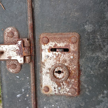 Kohvrid /kohvrid 2 tk.